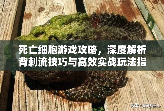 死亡细胞游戏攻略，深度解析背刺流技巧与高效实战玩法指南