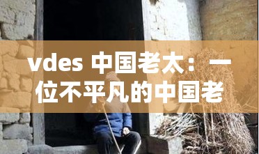 vdes 中国老太：一位不平凡的中国老人的故事