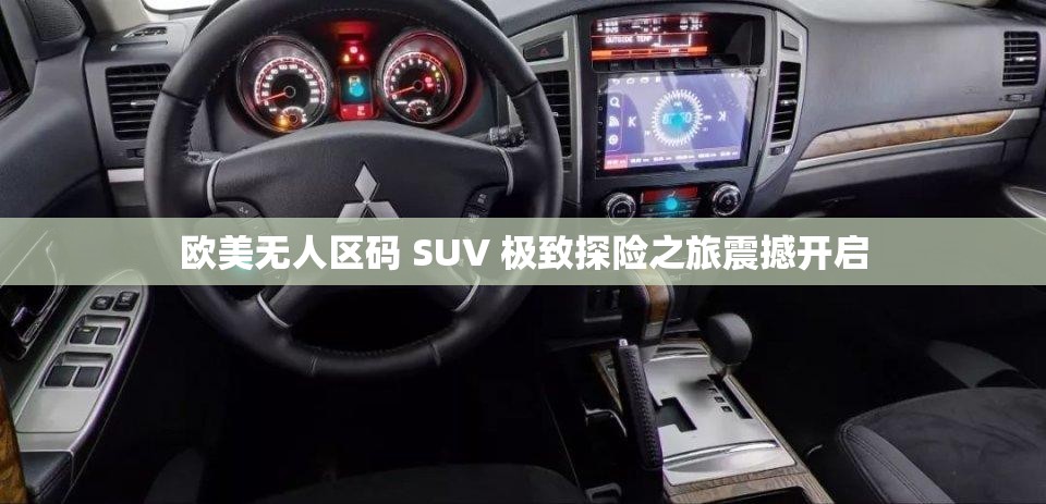 欧美无人区码 SUV 极致探险之旅震撼开启