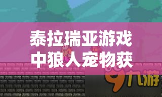 泰拉瑞亚游戏中狼人宠物获取全攻略及详细属性解析