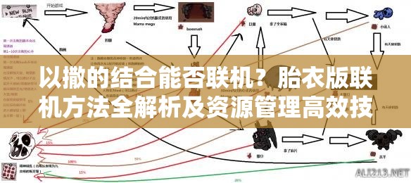 以撒的结合能否联机？胎衣版联机方法全解析及资源管理高效技巧