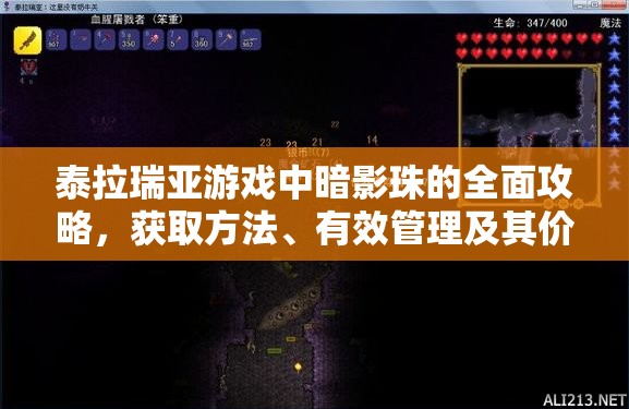 泰拉瑞亚游戏中暗影珠的全面攻略，获取方法、有效管理及其价值最大化策略