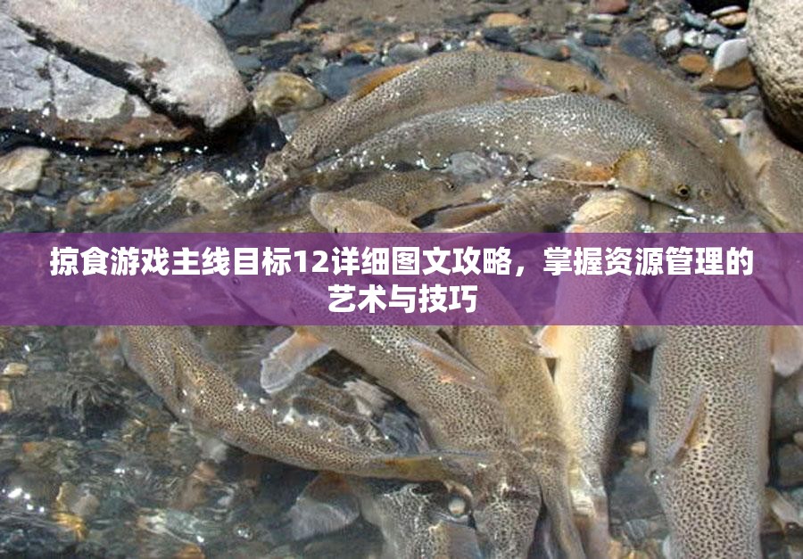 掠食游戏主线目标12详细图文攻略，掌握资源管理的艺术与技巧