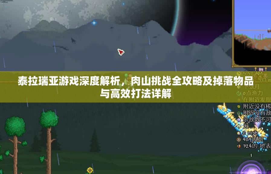 泰拉瑞亚游戏深度解析，肉山挑战全攻略及掉落物品与高效打法详解