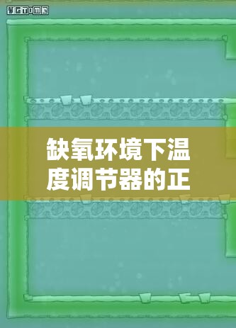 缺氧环境下温度调节器的正确使用方法及其在高效资源管理中的关键作用