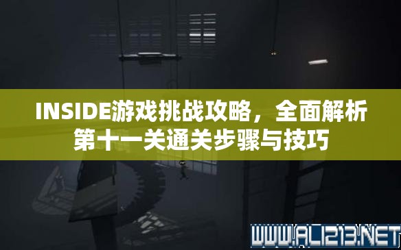 INSIDE游戏挑战攻略，全面解析第十一关通关步骤与技巧