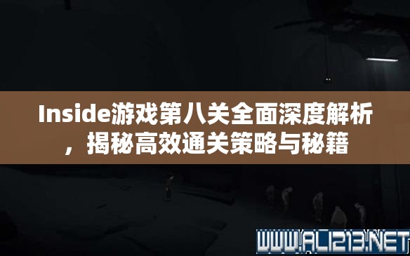 Inside游戏第八关全面深度解析，揭秘高效通关策略与秘籍