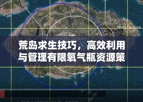 荒岛求生技巧，高效利用与管理有限氧气瓶资源策略