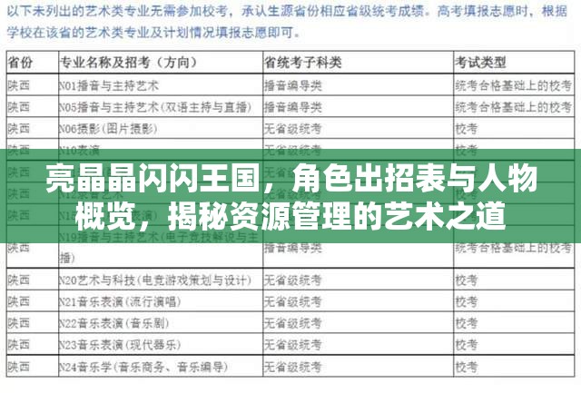 亮晶晶闪闪王国，角色出招表与人物概览，揭秘资源管理的艺术之道