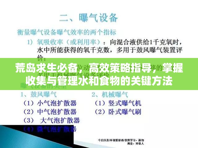 荒岛求生必备，高效策略指导，掌握收集与管理水和食物的关键方法