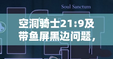 空洞骑士21:9及带鱼屏黑边问题，深度探讨解决方案与技巧