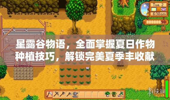 星露谷物语，全面掌握夏日作物种植技巧，解锁完美夏季丰收献祭攻略