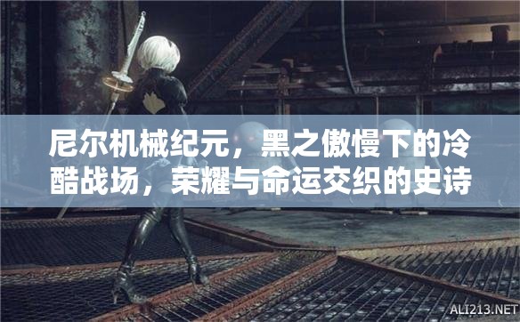 尼尔机械纪元，黑之傲慢下的冷酷战场，荣耀与命运交织的史诗篇章