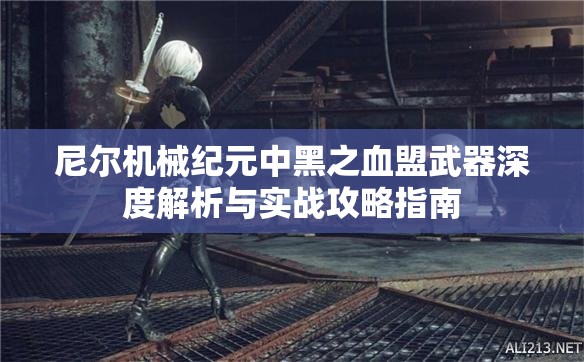 尼尔机械纪元中黑之血盟武器深度解析与实战攻略指南