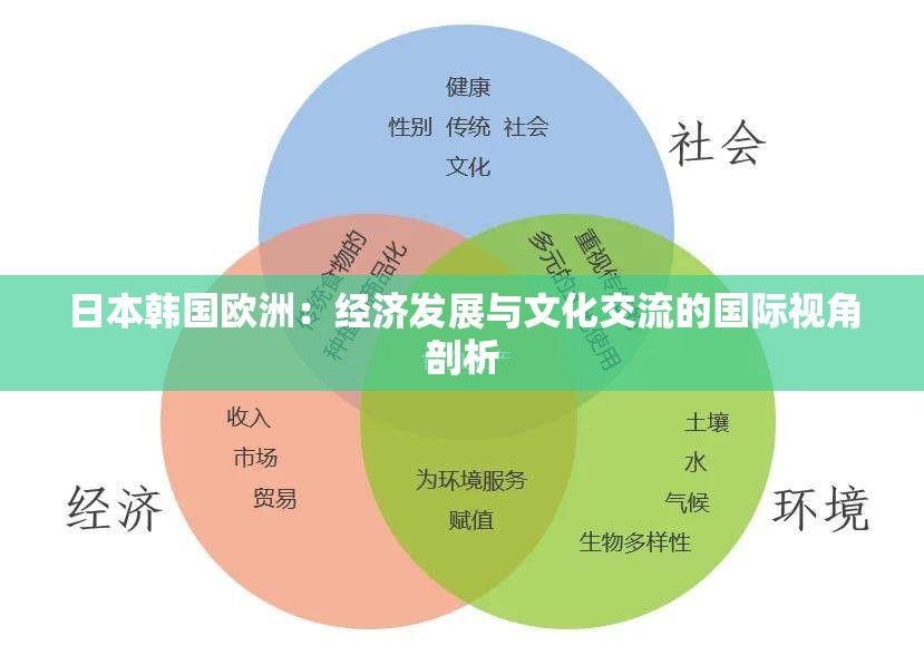 日本韩国欧洲：经济发展与文化交流的国际视角剖析