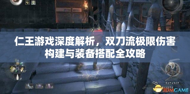 仁王游戏深度解析，双刀流极限伤害构建与装备搭配全攻略