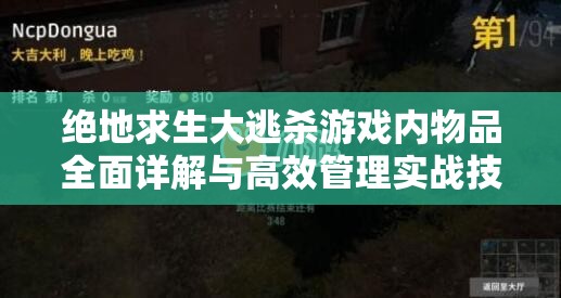 绝地求生大逃杀游戏内物品全面详解与高效管理实战技巧