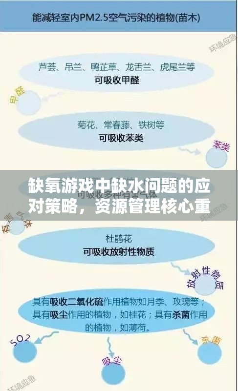 缺氧游戏中缺水问题的应对策略，资源管理核心重要性及实用解决方法