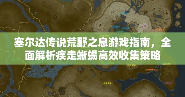 塞尔达传说荒野之息游戏指南，全面解析疾走蜥蜴高效收集策略