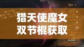 猎天使魔女双节棍获取全攻略，掌握秘籍，解锁战斗技巧新境界