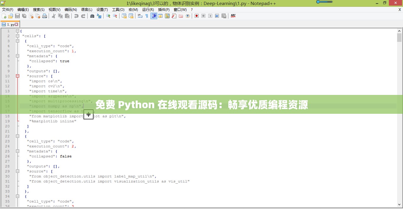 免费 Python 在线观看源码：畅享优质编程资源