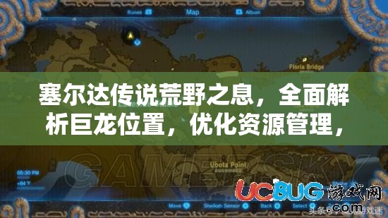 塞尔达传说荒野之息，全面解析巨龙位置，优化资源管理，实现高效利用避免浪费