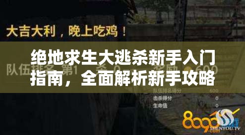 绝地求生大逃杀新手入门指南，全面解析新手攻略与玩法教程