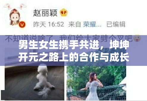 男生女生携手共进，坤坤开元之路上的合作与成长故事