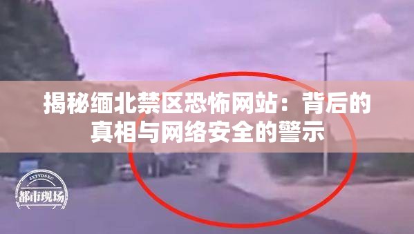 揭秘缅北禁区恐怖网站：背后的真相与网络安全的警示