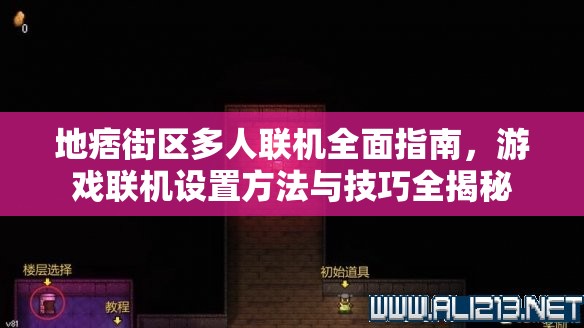 地痞街区多人联机全面指南，游戏联机设置方法与技巧全揭秘