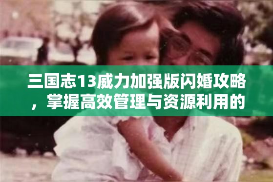 三国志13威力加强版闪婚攻略，掌握高效管理与资源利用的艺术精髓