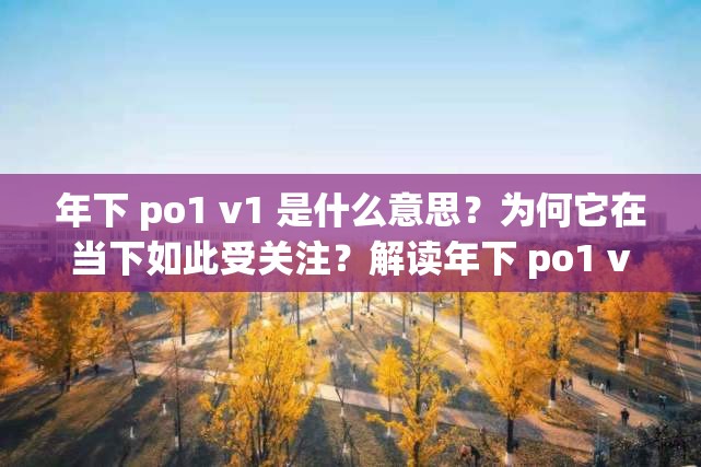 年下 po1 v1 是什么意思？为何它在当下如此受关注？解读年下 po1 v1 的奥秘