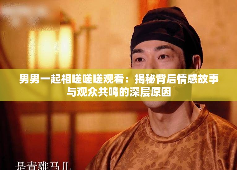 男男一起相嗟嗟嗟观看：揭秘背后情感故事与观众共鸣的深层原因