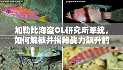 加勒比海盗OL研究所系统，如何解锁并揭秘战力飙升的终极秘密？