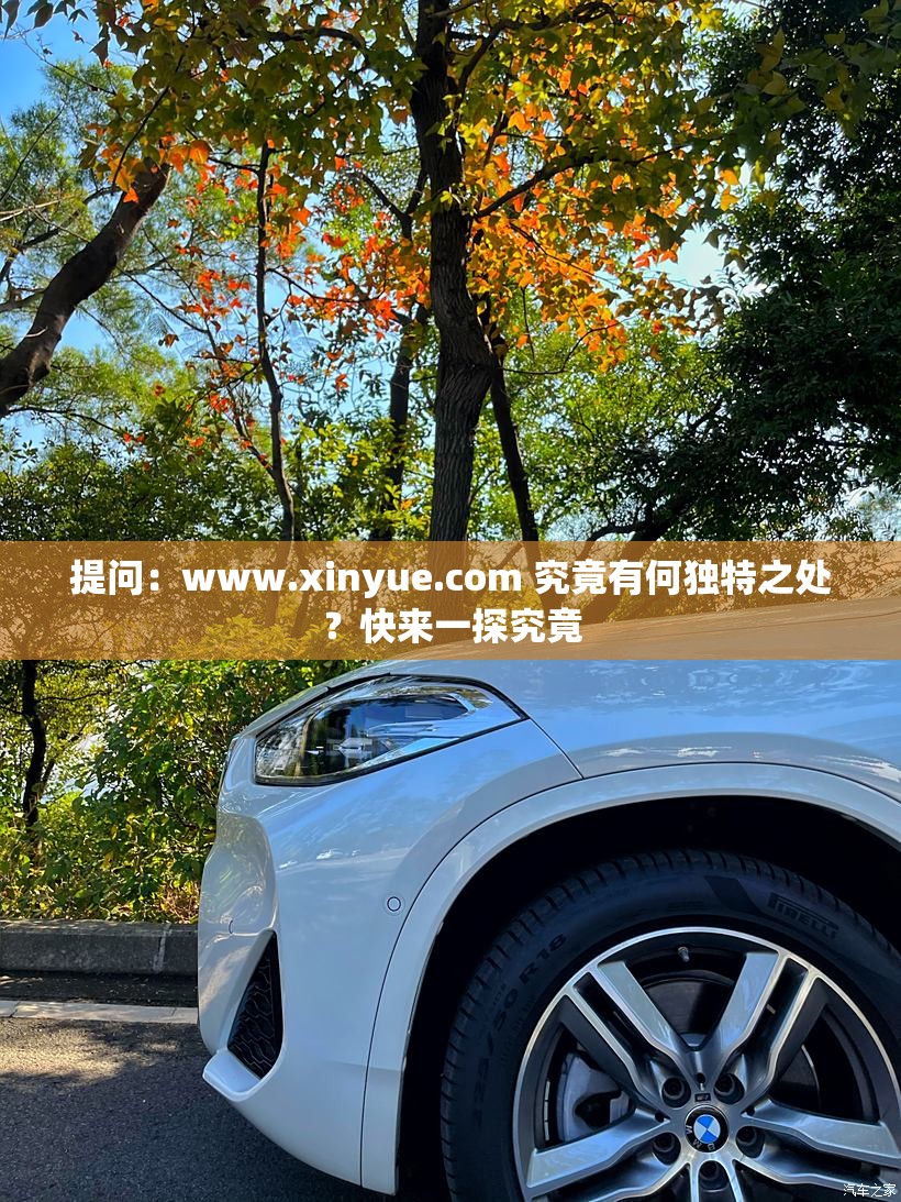 提问：www.xinyue.com 究竟有何独特之处？快来一探究竟