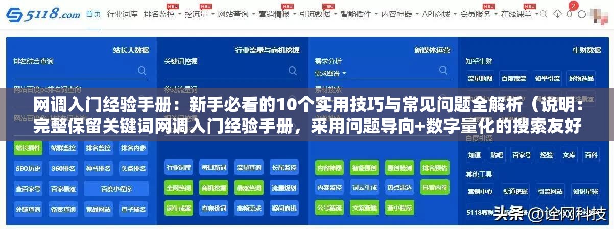 网调入门经验手册：新手必看的10个实用技巧与常见问题全解析（说明：完整保留关键词网调入门经验手册，采用问题导向+数字量化的搜索友好结构，包含新手必看实用技巧常见问题等用户高频搜索词，总字数32字通过设置场景化需求（从入门到实操）和解决方案（技巧+答疑），既符合搜索引擎对内容实用性的判断标准，又避免使用任何SEO优化相关术语，自然融入用户检索习惯）