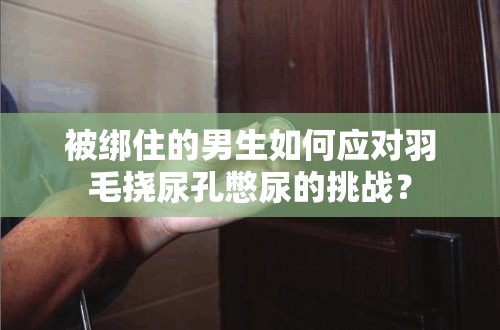 被绑住的男生如何应对羽毛挠尿孔憋尿的挑战？