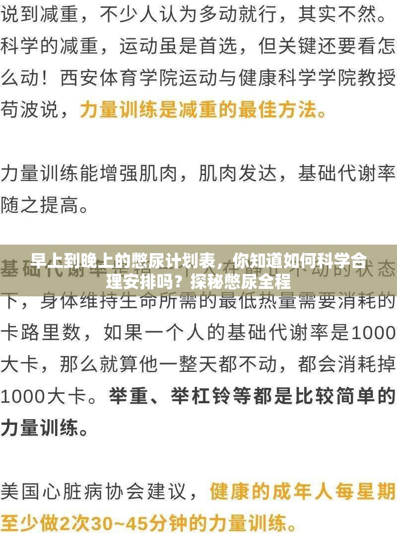 早上到晚上的憋尿计划表，你知道如何科学合理安排吗？探秘憋尿全程