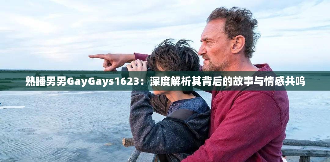 熟睡男男GayGays1623：深度解析其背后的故事与情感共鸣