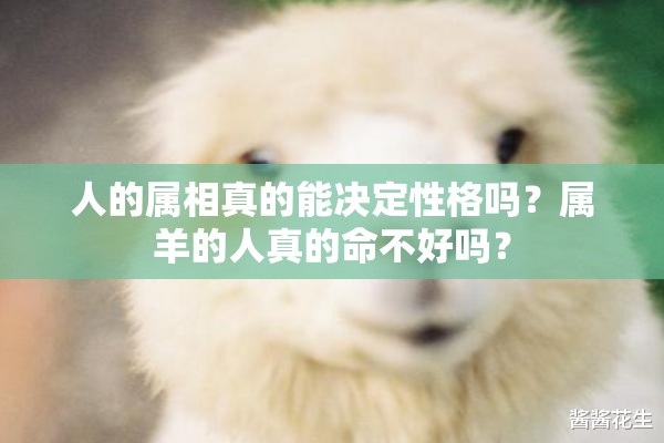 人的属相真的能决定性格吗？属羊的人真的命不好吗？