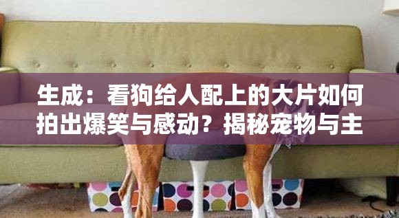 生成：看狗给人配上的大片如何拍出爆笑与感动？揭秘宠物与主人的趣味互动拍摄技巧（解析：采用疑问句式+揭秘结构，完整保留关键词看狗给人配上的大片，通过爆笑与感动制造情绪反差，加入趣味互动拍摄技巧既符合百度长尾词搜索习惯，又暗示内容实用性总字数33字，符合SEO友好原则且无刻意优化痕迹）