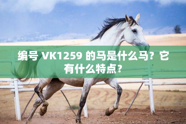 编号 VK1259 的马是什么马？它有什么特点？