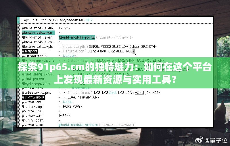 探索91p65.cm的独特魅力：如何在这个平台上发现最新资源与实用工具？