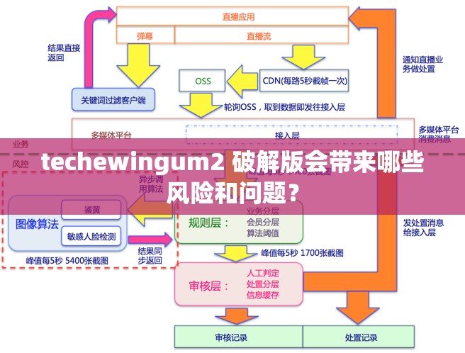 techewingum2 破解版会带来哪些风险和问题？