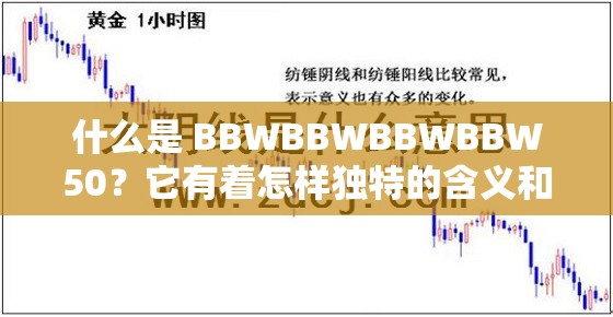 什么是 BBWBBWBBWBBW50？它有着怎样独特的含义和价值？快来一探究竟