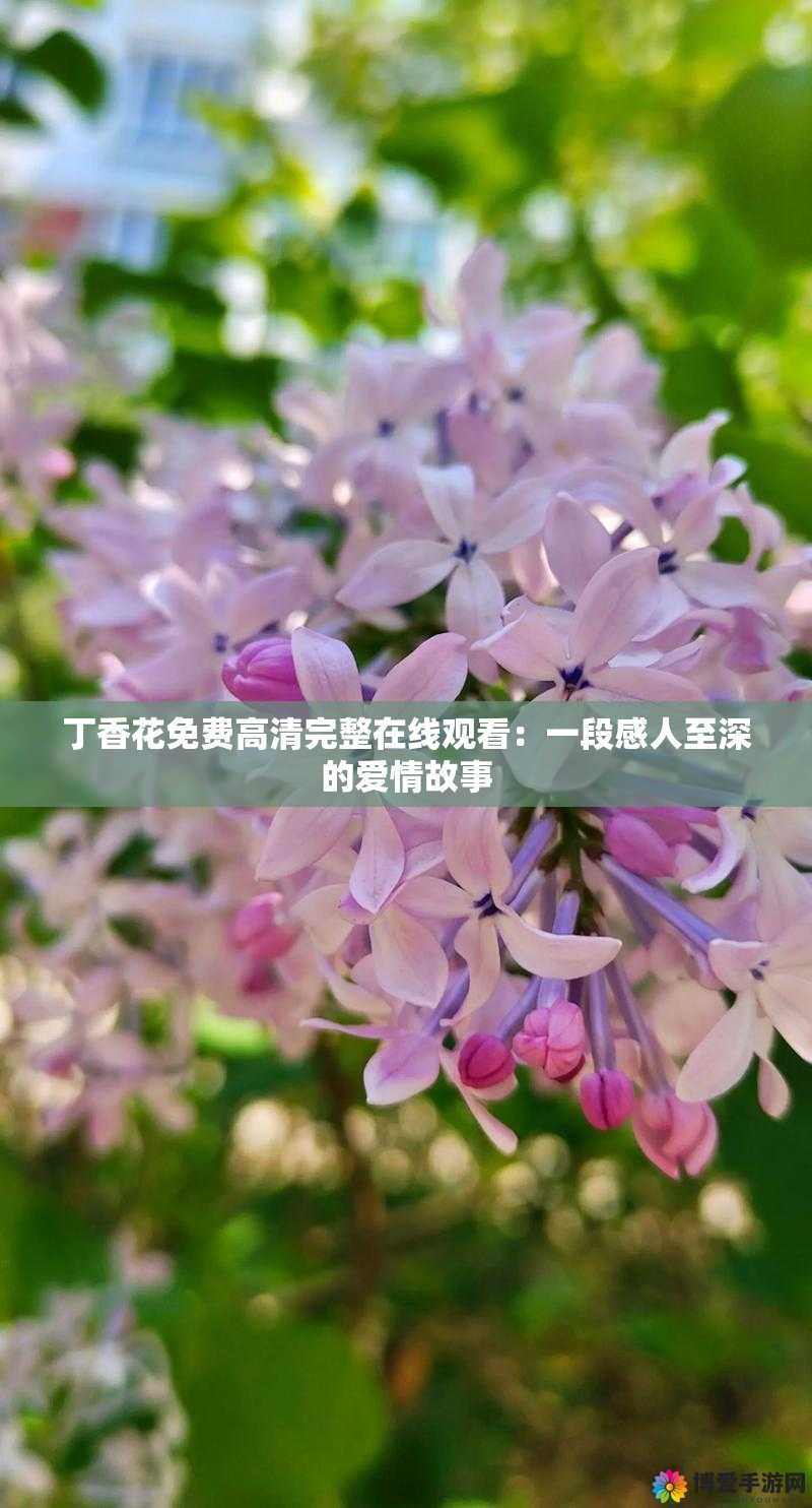 丁香花免费高清完整在线观看：一段感人至深的爱情故事