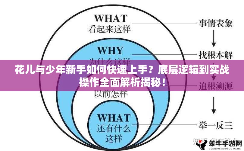 花儿与少年新手如何快速上手？底层逻辑到实战操作全面解析揭秘！