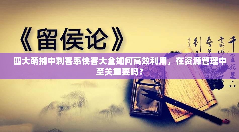 四大萌捕中刺客系侠客大全如何高效利用，在资源管理中至关重要吗？